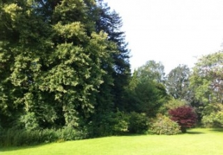  Le terrain 
